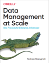 Strengholt P.  Data Management at Scale. Best Practices for Enterprise Architecture